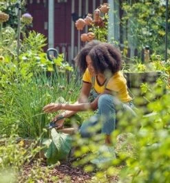 GARDENA - ExpertCut - Snoeischaar - 22 Diameter Tak 32 GARDENA - ExpertCut - Snoeischaar - 22 Diameter Tak -Tuingereedschaps Winkel 1116x1200 1