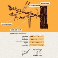 Hendrik Jan - Takkenschaar - Aluminium - Aambeeld - 62 Cm 10 Hendrik Jan - Takkenschaar - Aluminium - Aambeeld - 62 Cm -Tuingereedschaps Winkel 1198x1200 4