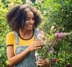 GARDENA - ExpertCut - Snoeischaar - 22 Diameter Tak 24 GARDENA - ExpertCut - Snoeischaar - 22 Diameter Tak -Tuingereedschaps Winkel 1200x1122