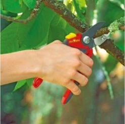 WOLF-Garten Snoeischaar "Premium Plus" RS 4000 - Aambeeld - Max. Knipdiameter 25 Mm - Links- En Rechtshandige - Softinleg Handgreep - Snijhoek 30° - Voor Grote Handen - Vervangbare Messen En Aambeeld -Tuingereedschaps Winkel 1200x1195 5