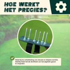 Merkloos Gazonbeluchtingssandalen Premium - Gazonbeluchter - Beluchter - Gazonverluchter - Gazonpriksandalen - Verticuteerroller - Graszaad - Gazonmest - Kerstcadeau - Voor Mannen - Voor Vrouwen - Cadeautjes- Vaderdag Cadeau- Geschenk- Cadeautjes -Tuingereedschaps Winkel 1200x1197 11