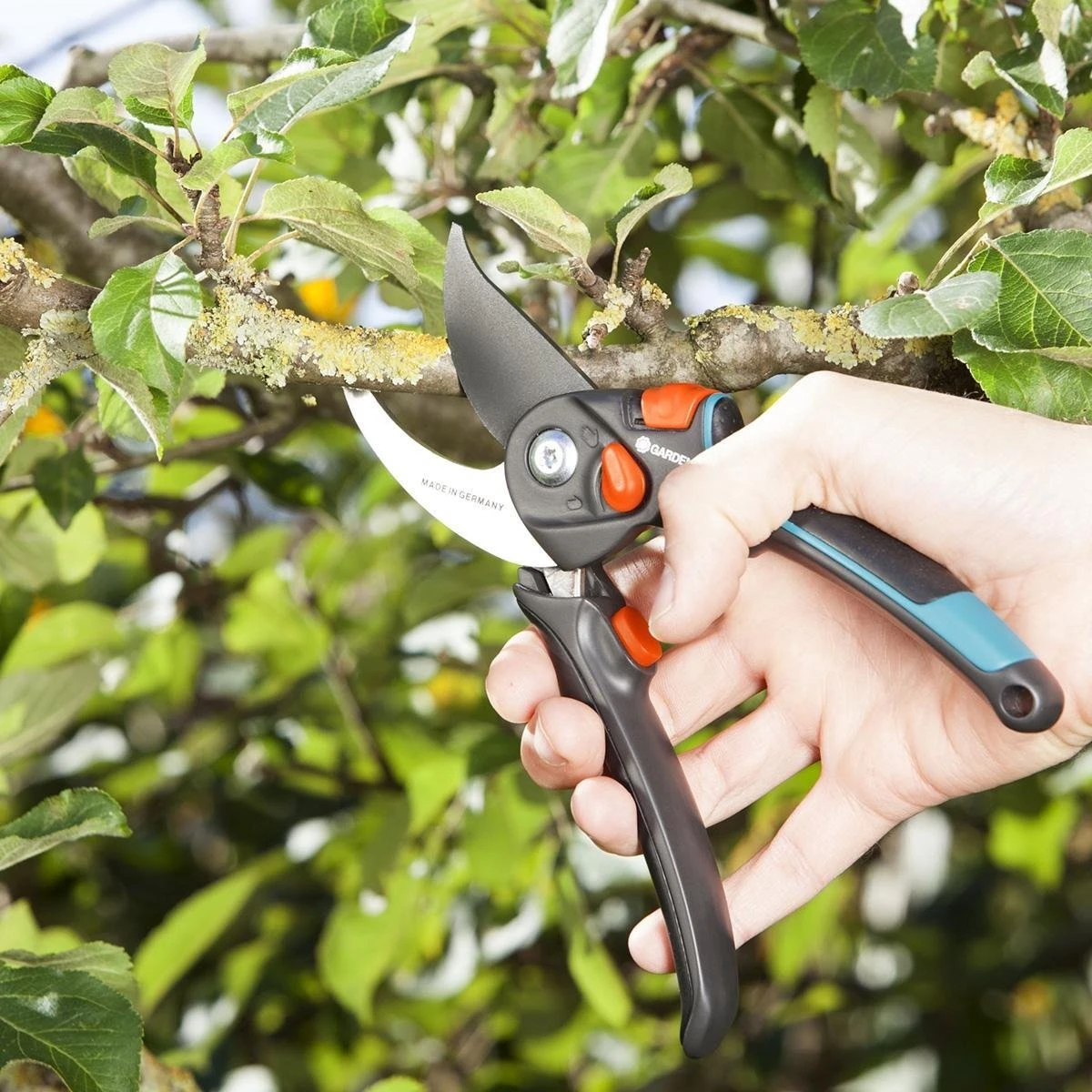 GARDENA - Comfort B/S-XL Bypass - Snoeischaar - Ø 24 Mm - 25 Jaar Garantie 6 GARDENA - Comfort B/S-XL Bypass - Snoeischaar - Ø 24 Mm - 25 Jaar Garantie - Afbeelding 4