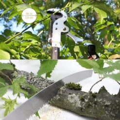 Iceberk Snoeischaar + Snoeizaag (1,45 - 3,70 M) - Telescopische Snoeischaar Voor Het Snoeien Van Bomen En Dichte Struiken Zonder Ladder 12 Iceberk Snoeischaar + Snoeizaag (1,45 - 3,70 M) - Telescopische Snoeischaar Voor Het Snoeien Van Bomen En Dichte Struiken Zonder Ladder -Tuingereedschaps Winkel 1200x1200 195