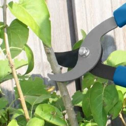 Hyundai Snoeiset 3-delig - Snoeischaar - Takkenschaar - Heggenschaar -Tuingereedschaps Winkel 1200x1200 249