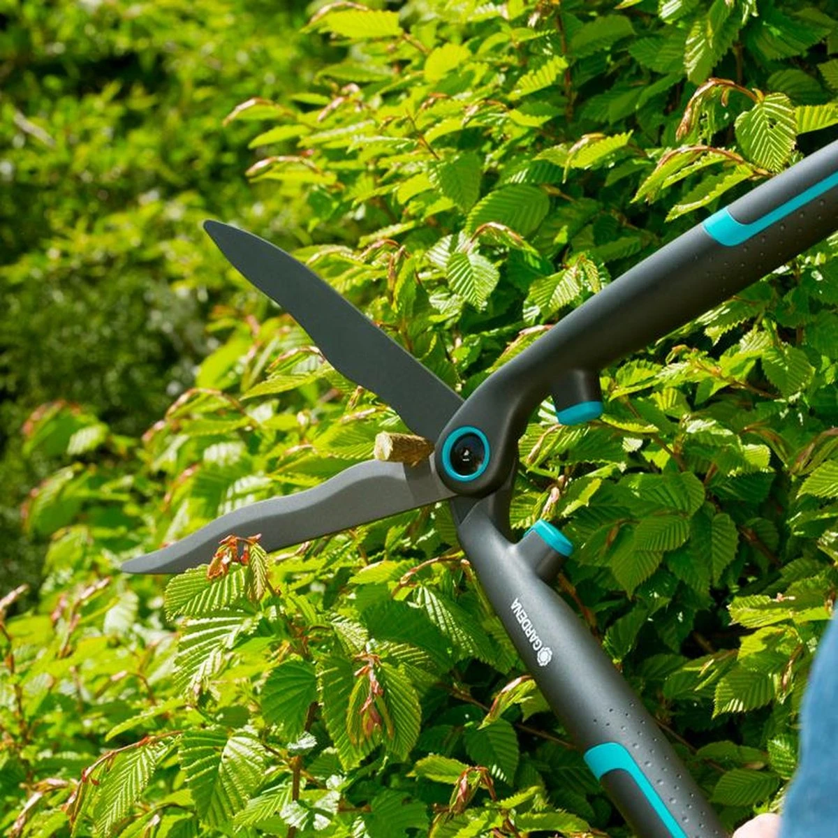 GARDENA - EasyCut - Heggenschaar - Extra Licht Van Gewicht 13 GARDENA - EasyCut - Heggenschaar - Extra Licht Van Gewicht - Afbeelding 11