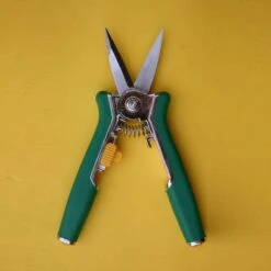 Bloemenschaar- Snoeischaar Recht Green Arrow 6238 16 Bloemenschaar- Snoeischaar Recht Green Arrow 6238 -Tuingereedschaps Winkel 1200x1200 264