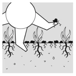 GARDENA EVC 1000 Verticuteermachine - Werkbreedte 30 Cm - Werkgebied 600m2 -Tuingereedschaps Winkel 1200x1200 351
