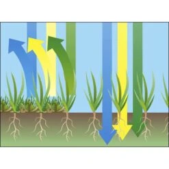 GARDENA EVC 1000 Verticuteermachine - Werkbreedte 30 Cm - Werkgebied 600m2 -Tuingereedschaps Winkel 1200x1200 352