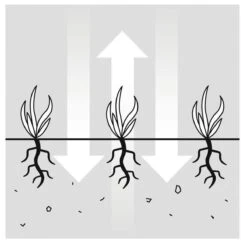 GARDENA EVC 1000 Verticuteermachine - Werkbreedte 30 Cm - Werkgebied 600m2 -Tuingereedschaps Winkel 1200x1200 353