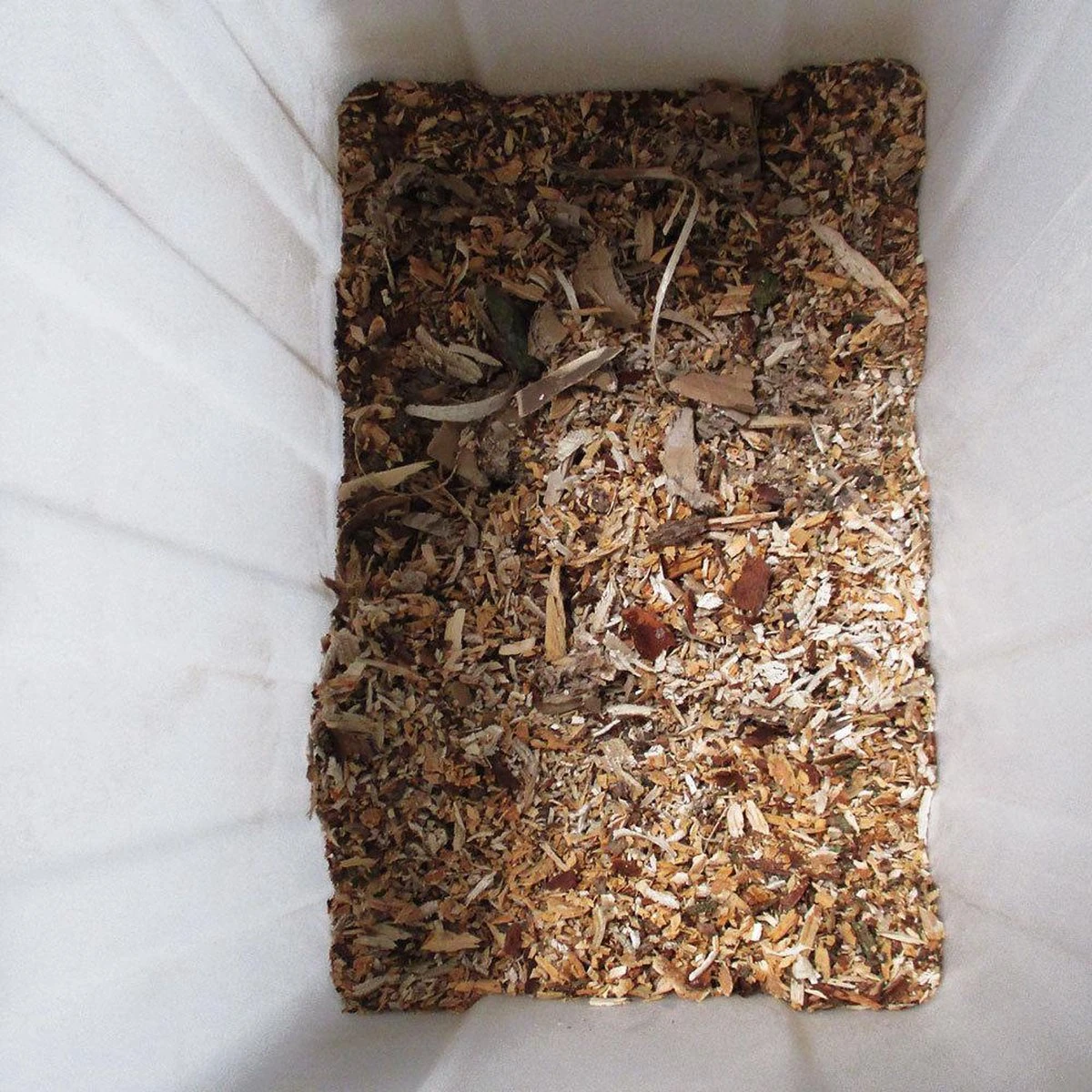 Gardebruk Hakselaar Elektrisch 2800W - 45mm Takdikte - Opvangbak 60 L 11 Gardebruk Hakselaar Elektrisch 2800W - 45mm Takdikte - Opvangbak 60 L - Afbeelding 9