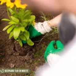 Merkloos Grondboor Voor Planten - 25 CM - Palenboor - Moestuin - Bollenplanter - Zwart 13 Merkloos Grondboor Voor Planten - 25 CM - Palenboor - Moestuin - Bollenplanter - Zwart -Tuingereedschaps Winkel 1200x1200 517