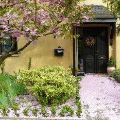 Talen Tools - Voetenveger - Dubbel - Harde Kunststof Borstels -Tuingereedschaps Winkel 1200x1200 597