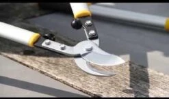 Hendrik Jan - Takkenschaar - Aluminium - Aambeeld - 62 Cm 11 Hendrik Jan - Takkenschaar - Aluminium - Aambeeld - 62 Cm -Tuingereedschaps Winkel 1200x704