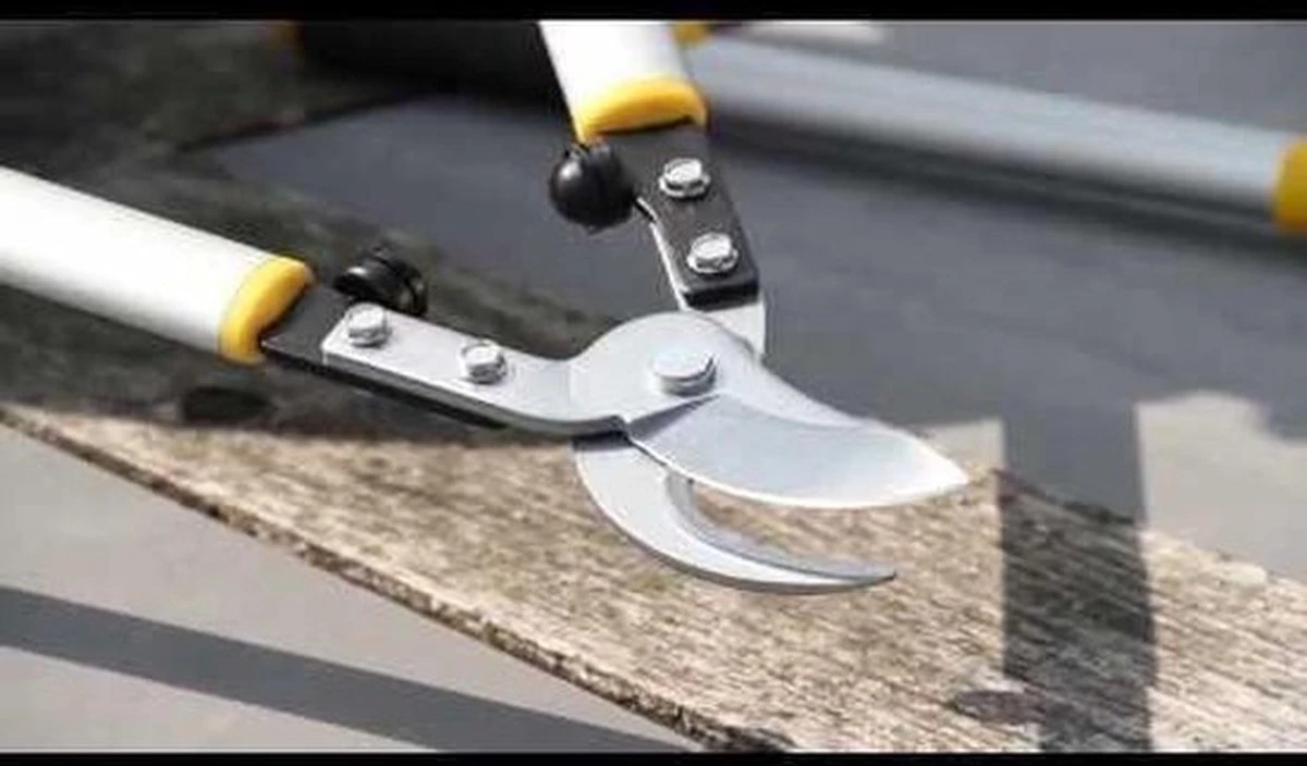 Hendrik Jan - Takkenschaar - Aluminium - Aambeeld - 62 Cm 7 Hendrik Jan - Takkenschaar - Aluminium - Aambeeld - 62 Cm - Afbeelding 5