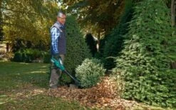 Bosch ALB 36 LI - Bladblazer - Met 36 V Accu En Lader -Tuingereedschaps Winkel 1200x747