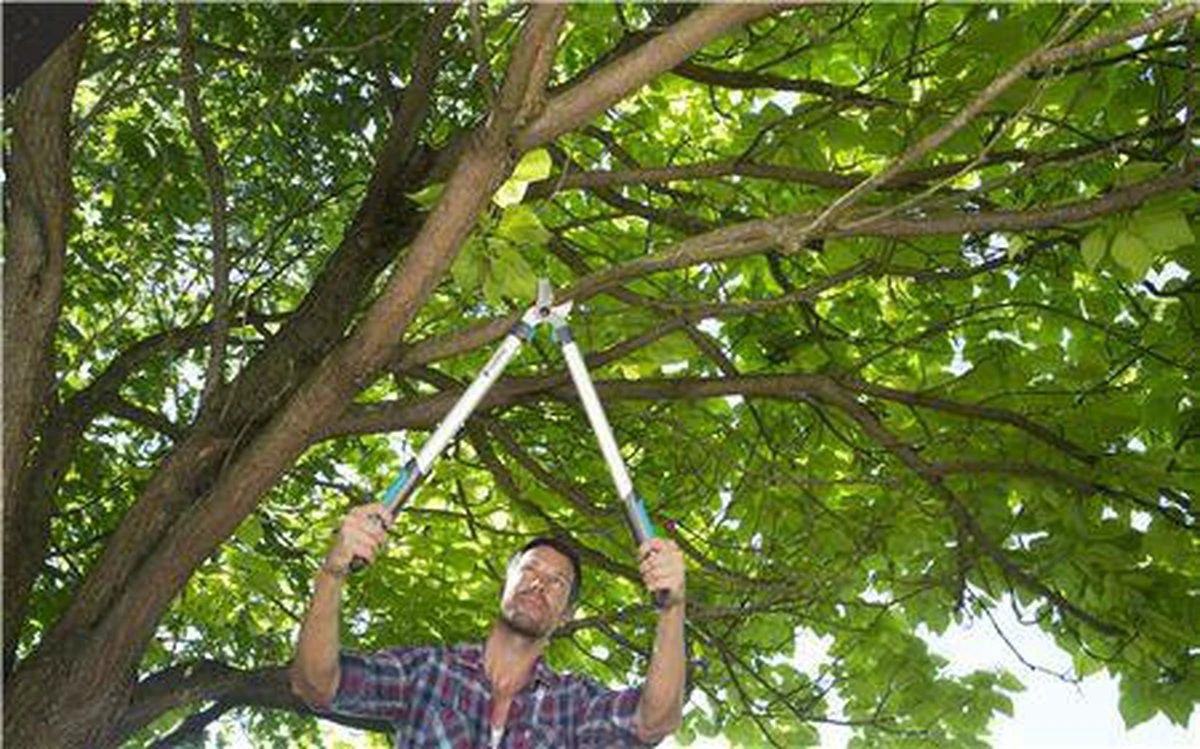 Gardena EasyCut Takkenschaar 68B + Classic Snoeischaar 8754 Display 1stuk 12003-30 10 Gardena EasyCut Takkenschaar 68B + Classic Snoeischaar 8754 Display 1stuk 12003-30 - Afbeelding 8