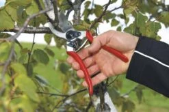 Felco 2 Snoeischaar - Rechtshandig - Max. Knipdiameter 25 Mm - Lengte 215 Mm -Tuingereedschaps Winkel 1200x796 6