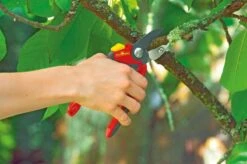 WOLF-Garten Snoeischaar "Premium Plus" RS 4000 - Aambeeld - Max. Knipdiameter 25 Mm - Links- En Rechtshandige - Softinleg Handgreep - Snijhoek 30° - Voor Grote Handen - Vervangbare Messen En Aambeeld -Tuingereedschaps Winkel 1200x798 10