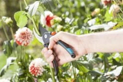 GARDENA Comfort B/M Bypass Snoeischaar - Ø 24mm - Met Sapgeul 18 GARDENA Comfort B/M Bypass Snoeischaar - Ø 24mm - Met Sapgeul -Tuingereedschaps Winkel 1200x799 104