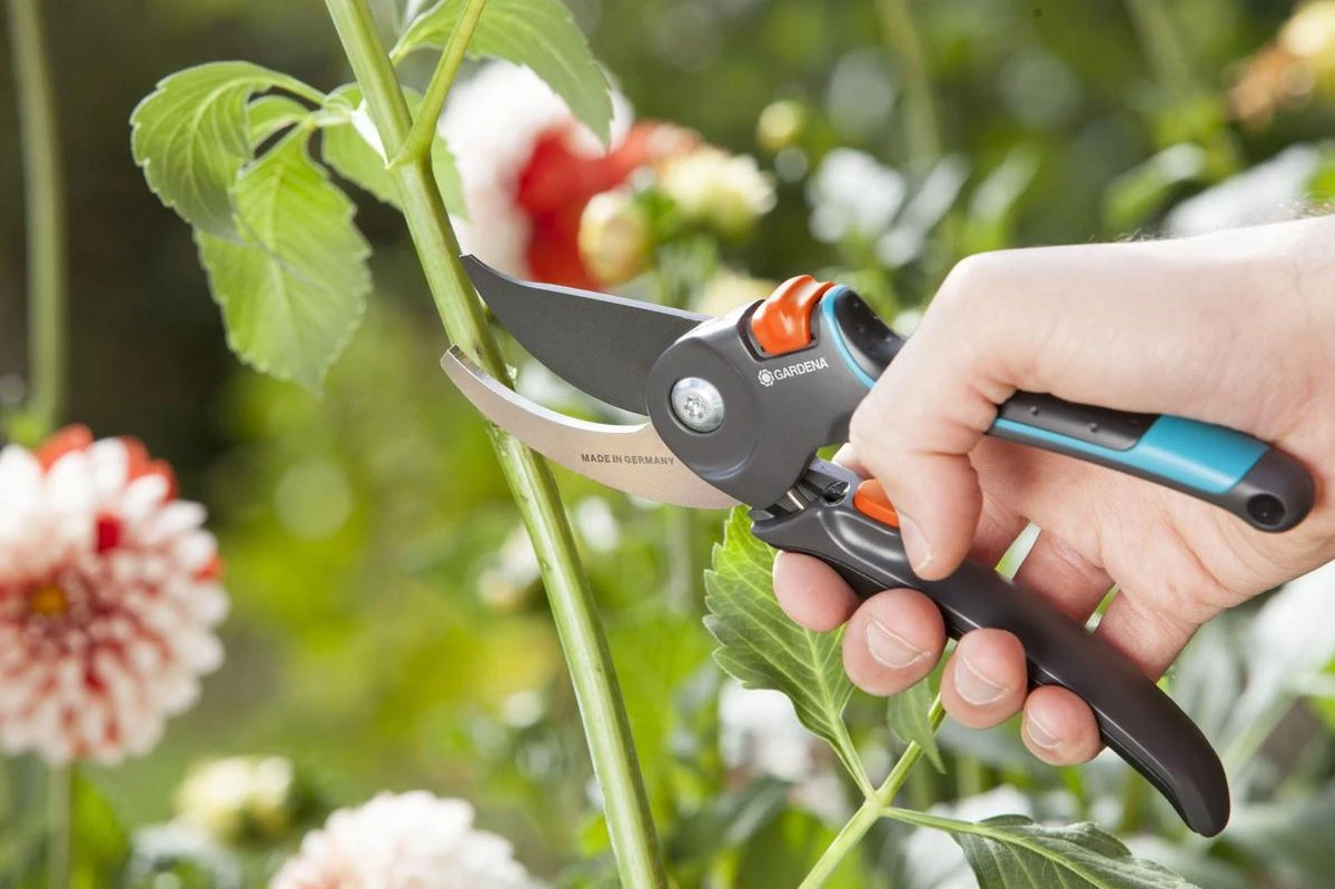 GARDENA Comfort B/M Bypass Snoeischaar - Ø 24mm - Met Sapgeul 11 GARDENA Comfort B/M Bypass Snoeischaar - Ø 24mm - Met Sapgeul - Afbeelding 9