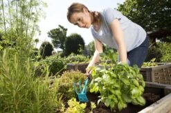 GARDENA Combisystem Tuinhak - Werkbreedte 6,5cm - 25 Jaar Garantie 22 GARDENA Combisystem Tuinhak - Werkbreedte 6,5cm - 25 Jaar Garantie -Tuingereedschaps Winkel 1200x799 182