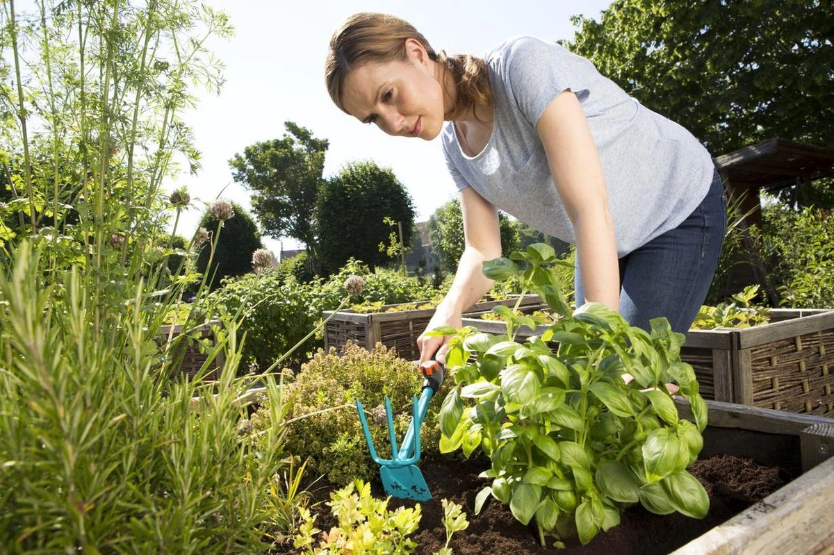 GARDENA Combisystem Tuinhak - Werkbreedte 6,5cm - 25 Jaar Garantie 9 GARDENA Combisystem Tuinhak - Werkbreedte 6,5cm - 25 Jaar Garantie - Afbeelding 7