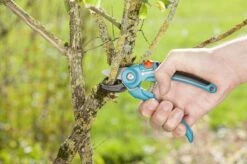 GARDENA Classic Aambeeld Snoeischaar - Ø 18 Mm 9 GARDENA Classic Aambeeld Snoeischaar - Ø 18 Mm -Tuingereedschaps Winkel 1200x799 71