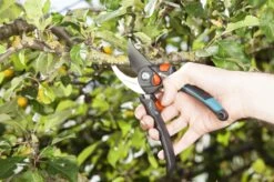 GARDENA - Comfort B/S-XL Bypass - Snoeischaar - Ø 24 Mm - 25 Jaar Garantie 24 GARDENA - Comfort B/S-XL Bypass - Snoeischaar - Ø 24 Mm - 25 Jaar Garantie -Tuingereedschaps Winkel 1200x799 77