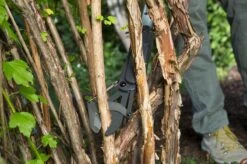 GARDENA - SlimCut Takkenschaar -28mm- Met Hefboommechanisme 14 GARDENA - SlimCut Takkenschaar -28mm- Met Hefboommechanisme -Tuingereedschaps Winkel 1200x799 83