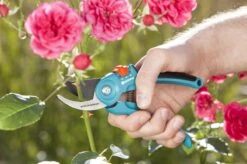 GARDENA - Classic B/S-M Bypass Snoeischaar - Ø 22mm - 25 Jaar Garantie 20 GARDENA - Classic B/S-M Bypass Snoeischaar - Ø 22mm - 25 Jaar Garantie -Tuingereedschaps Winkel 1200x799 92