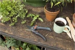 GARDENA - Comfort B/S-XL Bypass - Snoeischaar - Ø 24 Mm - 25 Jaar Garantie 25 GARDENA - Comfort B/S-XL Bypass - Snoeischaar - Ø 24 Mm - 25 Jaar Garantie -Tuingereedschaps Winkel 1200x800 107