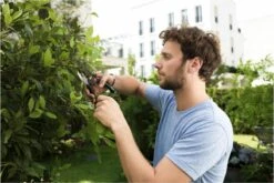 GARDENA - Comfort B/S-XL Bypass - Snoeischaar - Ø 24 Mm - 25 Jaar Garantie 28 GARDENA - Comfort B/S-XL Bypass - Snoeischaar - Ø 24 Mm - 25 Jaar Garantie -Tuingereedschaps Winkel 1200x800 109