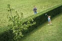 Bosch AHS 50-20 Accu Heggenschaar - Met 1 X 18 V Accu En Lader -Tuingereedschaps Winkel 1200x800 113