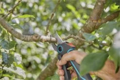 GARDENA AssistCut Snoeischaar- Ø 25mm 24 GARDENA AssistCut Snoeischaar- Ø 25mm -Tuingereedschaps Winkel 1200x800 137