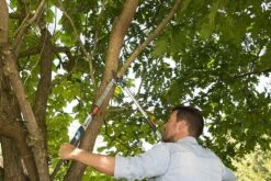 Gardena TeleCut Takkenschaar 650-900 B - Uitschuifbare Armen - Tot Max 90 Cm -Tuingereedschaps Winkel 1200x800 153