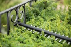 Bosch UniversalHedgeCut 18-55 Heggenschaar - Zonder 18V Accu En Oplader 16 Bosch UniversalHedgeCut 18-55 Heggenschaar - Zonder 18V Accu En Oplader -Tuingereedschaps Winkel 1200x800 158