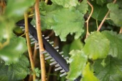 Bosch UniversalHedgeCut 18-55 Heggenschaar - Zonder 18V Accu En Oplader 19 Bosch UniversalHedgeCut 18-55 Heggenschaar - Zonder 18V Accu En Oplader -Tuingereedschaps Winkel 1200x800 161