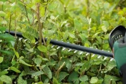 Bosch UniversalHedgeCut 18-50 Heggenschaar - Met 18 V Accu En Lader 17 Bosch UniversalHedgeCut 18-50 Heggenschaar - Met 18 V Accu En Lader -Tuingereedschaps Winkel 1200x800 177