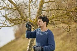 GARDENA - ExpertCut - Snoeischaar - 22 Diameter Tak 29 GARDENA - ExpertCut - Snoeischaar - 22 Diameter Tak -Tuingereedschaps Winkel 1200x800 185