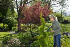 GARDENA PrecisionCut Buxusschaar - Meslengte 18 Cm - Vormsnoeien -Tuingereedschaps Winkel 1200x800 187