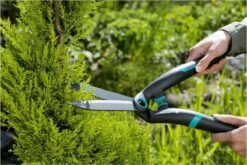 GARDENA PrecisionCut Buxusschaar - Meslengte 18 Cm - Vormsnoeien -Tuingereedschaps Winkel 1200x800 189