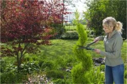 GARDENA PrecisionCut Buxusschaar - Meslengte 18 Cm - Vormsnoeien -Tuingereedschaps Winkel 1200x800 191