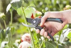 GARDENA Comfort B/M Bypass Snoeischaar - Ø 24mm - Met Sapgeul 13 GARDENA Comfort B/M Bypass Snoeischaar - Ø 24mm - Met Sapgeul -Tuingereedschaps Winkel 1200x800 202