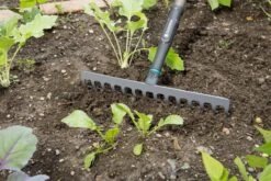 Gardena NatureLine Hark | 36 Cm | FSC 100% - 17106-20 -Tuingereedschaps Winkel 1200x800 282