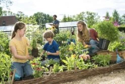 GARDENA Combisystem Bladharkje - Werkbreedte 12 Cm - 25 Jaar Garantie -Tuingereedschaps Winkel 1200x800 286