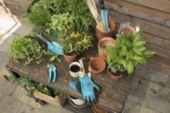 GARDENA - City Gardening - Onkruidsteker -Tuingereedschaps Winkel 1200x800 321