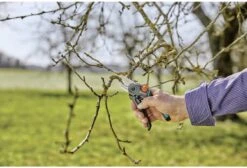 GARDENA - ExpertCut - Snoeischaar - 22 Diameter Tak 34 GARDENA - ExpertCut - Snoeischaar - 22 Diameter Tak -Tuingereedschaps Winkel 1200x815 1