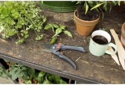 GARDENA Snoeischaar B/S-XL - Max. Ø 24 Mm -Tuingereedschaps Winkel 1200x818 1