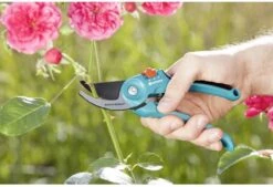 GARDENA - Classic B/S-M Bypass Snoeischaar - Ø 22mm - 25 Jaar Garantie 22 GARDENA - Classic B/S-M Bypass Snoeischaar - Ø 22mm - 25 Jaar Garantie -Tuingereedschaps Winkel 1200x820 1