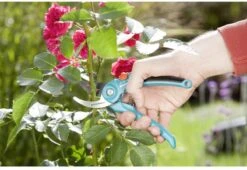 GARDENA 08853-20 Gardena Tuinschaar -Tuingereedschaps Winkel 1200x825 10